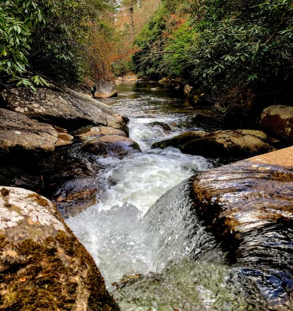 montanha stream  - blue ridge mountains stream forest waterfall - fotografias e filmes do acervo