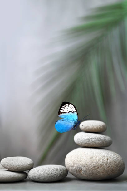 istock Harmony of Life Concept. Butterfly on the Pebble Stone Stack against palm leaf. 1369600374