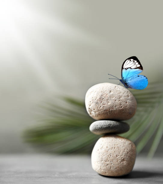 istock Harmony of Life Concept. Butterfly on the Pebble Stone Stack against palm leaf. 1369600381