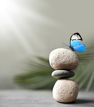 Harmony of Life Concept. Butterfly on the Pebble Stone Stack against palm leaf. Relaxing and Living by Nature.