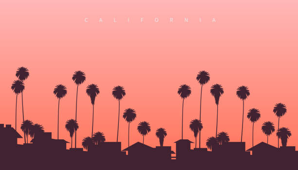 illustrazioni stock, clip art, cartoni animati e icone di tendenza di bellissimo tramonto da qualche parte sulla costa occidentale degli stati uniti. palme e ville residenziali con tramonto rosato sullo sfondo - california meridionale