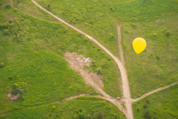 Forest drone photography. Sustainability.