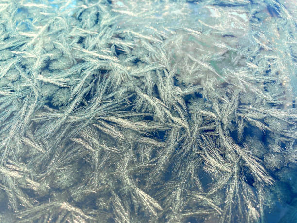 istock Ice frost crystal abstract nature pattern background in blue and white 1369604192