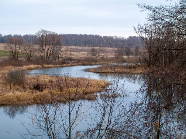 istock the bank of a small forest river on a cloudy day 1369608723
