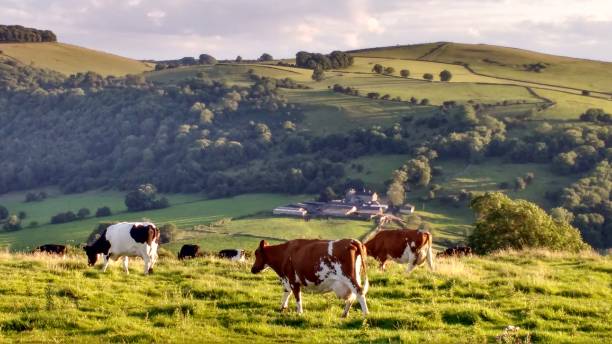 istock Peaceful Dovedale - English Peak District 1369608796