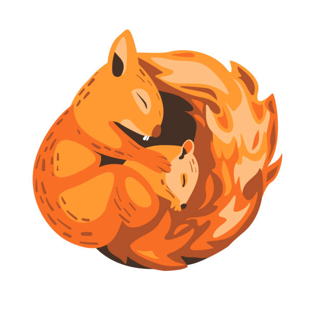 Mommy squirrel and baby squirrel sleep in an embrace Mommy squirrel and baby squirrel sleep in an embrace. Vector illustration sleeping squirrel stock illustrations
