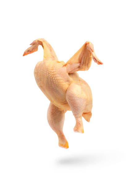 Closeup photo of fresh-cooked chicken leg quarters at restaurant's kitchen