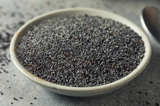 Raw Organic Poppy Seeds Raw Organic Poppy Seeds in a Bowl opium stock pictures, royalty-free photos & images