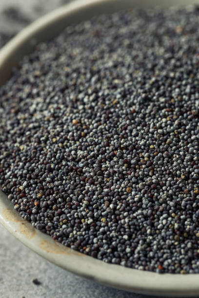istock Raw Organic Poppy Seeds 1369611395