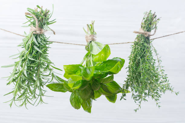 istock Bunches of fresh italian herbs 1369614420