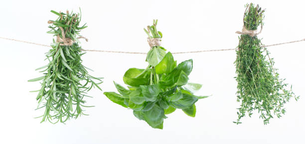 istock Bunches of fresh italian herbs 1369614453
