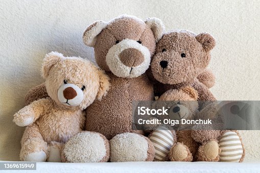 istock Teddy bear family portrait 1369615949