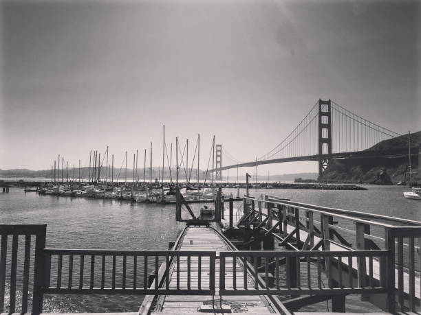 サンフランシスコ - golden gate bridge nature vacations fog ストックフォトと画像