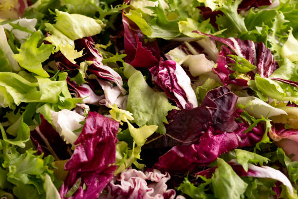 istock Mixed salad leaves frisee, radicchio and lamb's lettuce. 1369619630