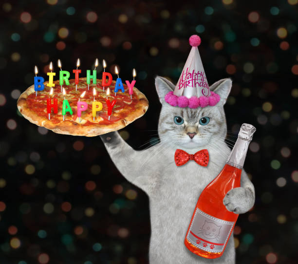 istock Cat ashen waiter with holiday pizza and wine 2 1369621619