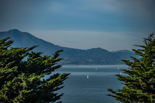 Stock footage of San Francisco, CA
