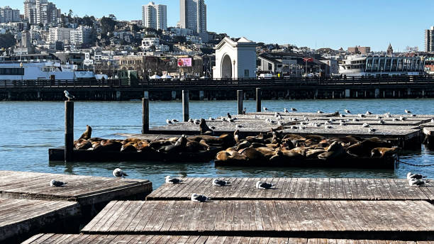 istock Stock footage of San Francisco, CA 1369623220