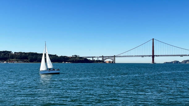 istock Stock footage of San Francisco, CA 1369623305