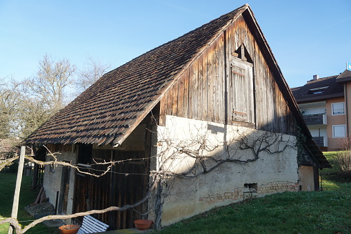 old historic barn with vine in winter