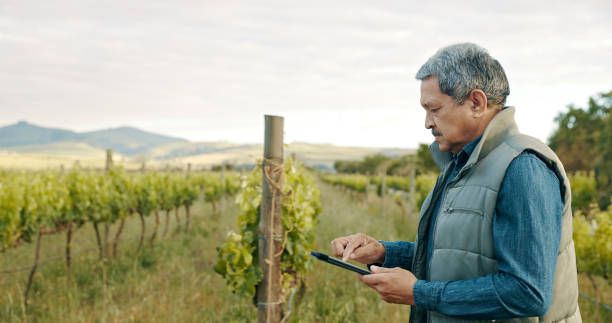 istock Shot of a senior man using a digital tablet while working on a farm 1369625789