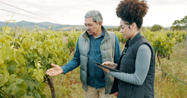 istock Shot of a man and woman using a digital tablet while working together on a farm 1369625814
