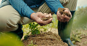 istock Closeup shot of an unrecognisable man holding soil in his hands while working on a farm 1369625895
