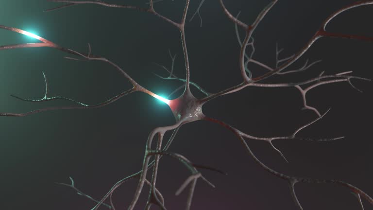 Neuron signal transfer from low to high activity