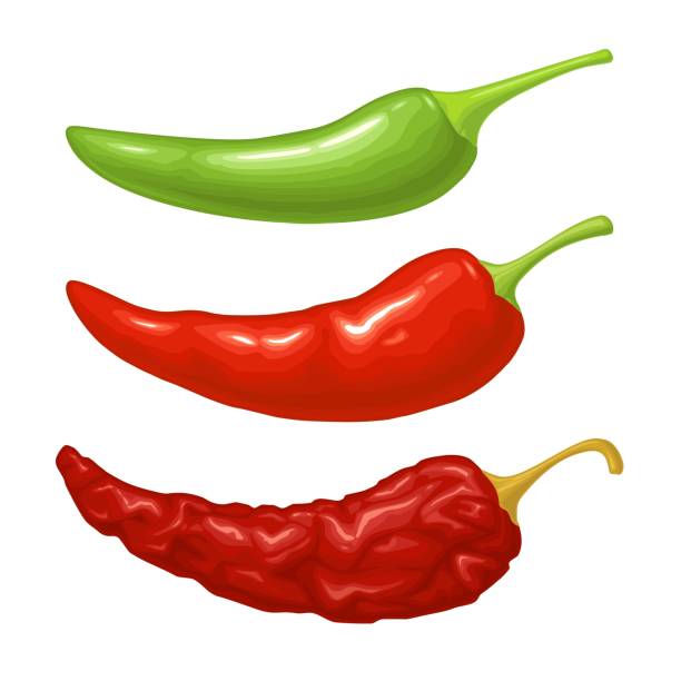 stockillustraties, clipart, cartoons en iconen met chilli whole. vector realistic color illustration. isolated on white - chili pepper