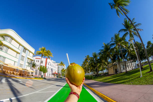 pov point de vue d’un jeune homme de voyage profitant de ses vacances tout en buvant un cocktail dans une pipe à noix de coco devant ocean drive, south beach, miami beach, miami, floride du sud, états-unis d’amérique - colony photos et images de collection