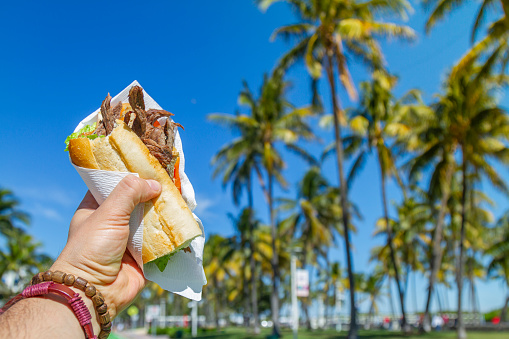 POV Point of view shot of a young travel male enjoying his vacations while eating a cuban sandwich in front of Ocean Drive, South Beach, Miami Beach, Miami, South Florida, United States of America.\n\nThe picture is in the famous and touristic Art Deco District. Shooting from a personal perspective in an exotic tropical beach travel holidays.\n\nTravel Concept.