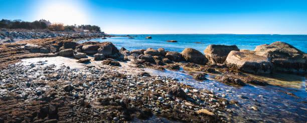 Panoramic seascape with glacial sea rocks on the beach at low tide on Cape Cod in winter.