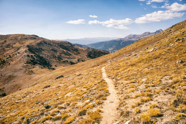 wanderweg in der collegiate wilderness, colorado - continental divide trail stock-fotos und bilder