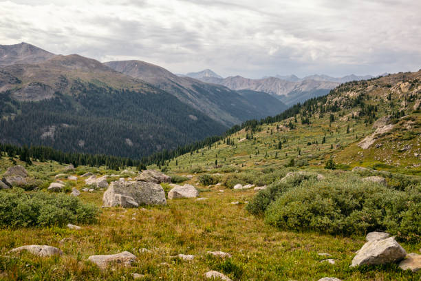 istock Alpine meadows in the Hunter-Fryingpan Wilderness 1369642286