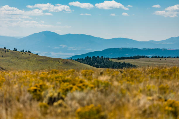 Sangre De Cristo Mountains with Blue Cloudy Sky