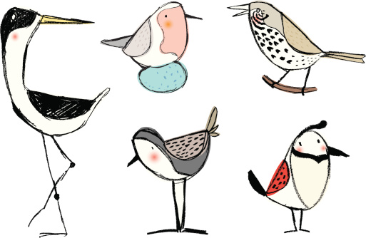 pencil sketch birds
