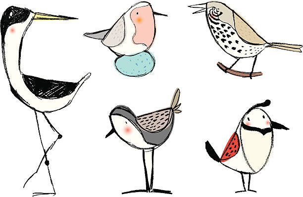 pencil sketch birds pencil sketch birds wader bird stock illustrations