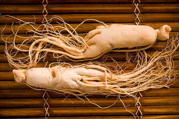 raízes de ginseng - ginseng root herbal medicine panax imagens e fotografias de stock