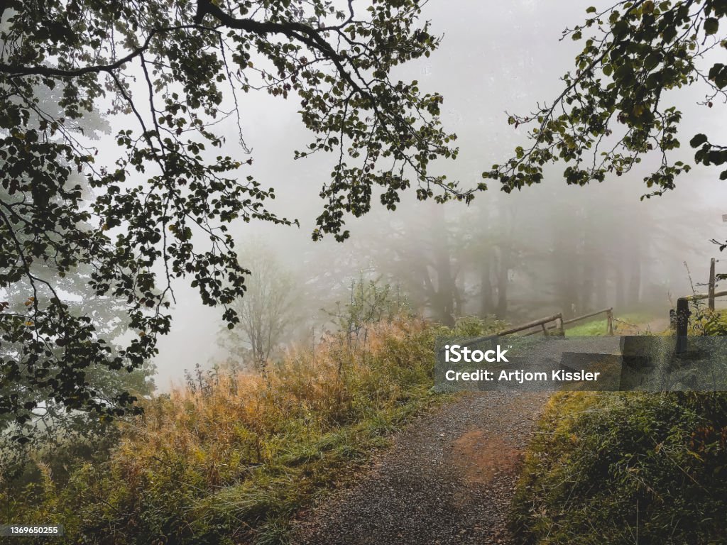 Path through the Black Forest in Germany with fog. Footpath Stock Photo
