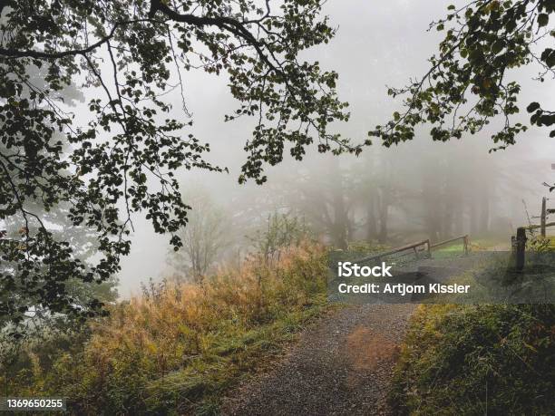 Path Through The Black Forest In Germany With Fog Stock Photo - Download Image Now - Footpath, Morning, Adventure