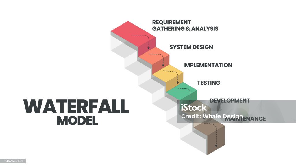 Waterfall Model Paper The Waterfall Model Infographic Vector Is Used In Software Engineering ...