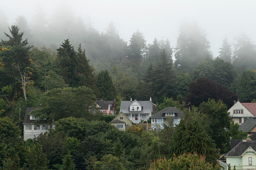Houses in fog, Astoria, Oregon, USA