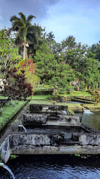 istock fish pond filled with natural water 1369656108