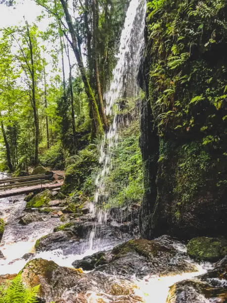 Photo of A river with waterfalls through the Black Forest in Germany.