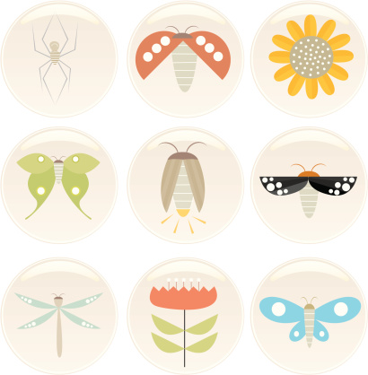 Round Insect Badge Insect N Flower Badges Stock Illustration - Download Image Now ...