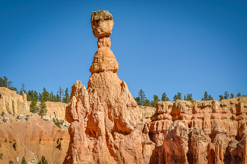 Thor's Hammer, an iconic sandstone rock formation, stands above the other hoodoos at Bryce Canyon National Park.