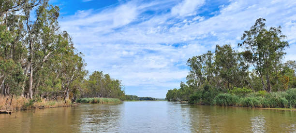 istock Barmah National Park, Victoria, Australia 1369665633