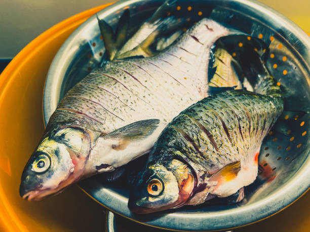 Fresh fish in a bowl. Fresh fish in a bowl. tinca tinca stock pictures, royalty-free photos & images