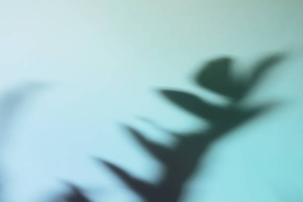 istock Natural leaves shadow on gradient paper background. Abstract blue and mint floral backdrop. Soft light 1369677225