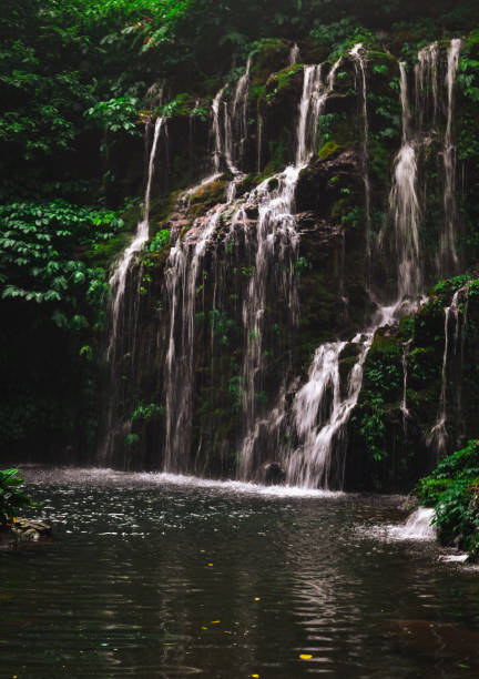 istock summer cascade waterfall in the jungle 1369677311