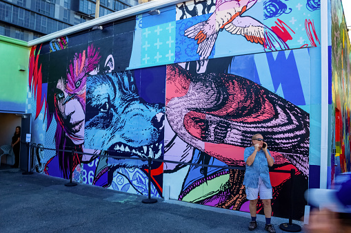 Miami, United States of America - November 30, 2019: Art Wynwood in Miami, USA. Wynwood is a neighborhood in Miami Florida which has a strong art culture presence and murals can be seen everywhere.